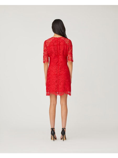 Taryn Dress