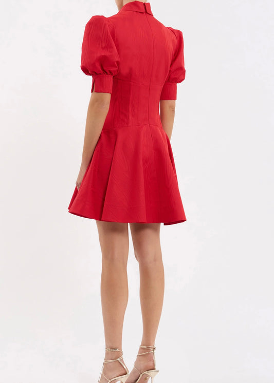 Jolene Mini Dress