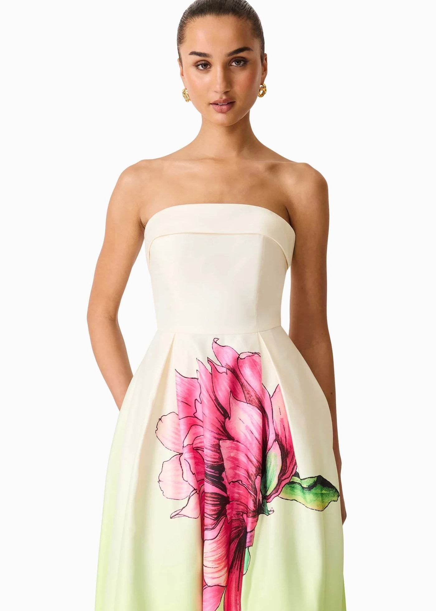 Elisia Strapless Gown