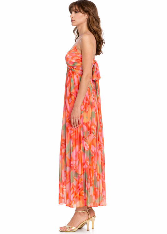 Nelle Floral Print Pleated Maxi Dress
