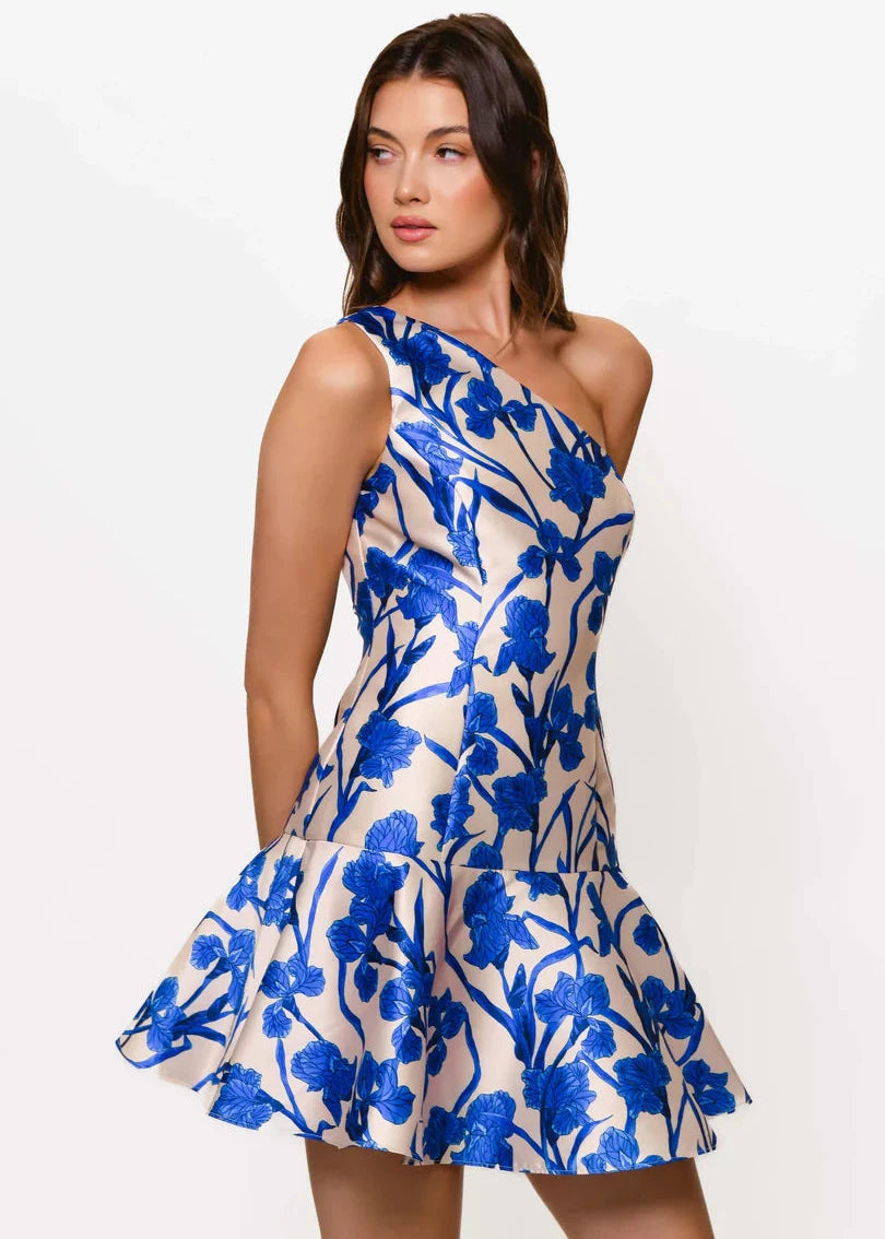 Silas Dress