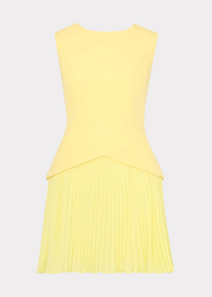 Haddy Pleated Mini Dress