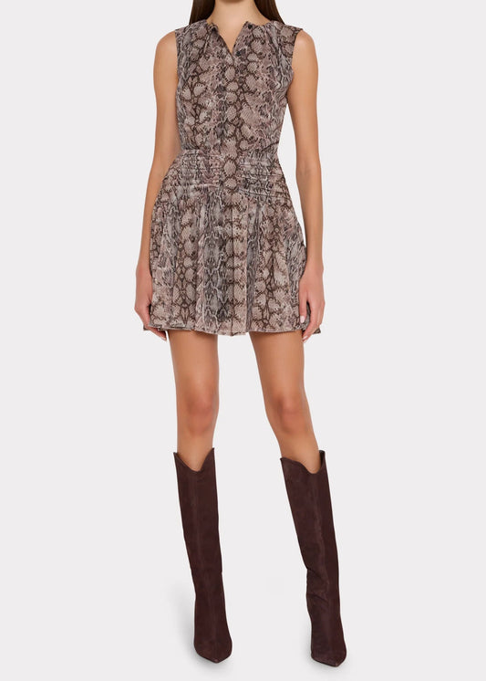 Katia Printed Mini Dress