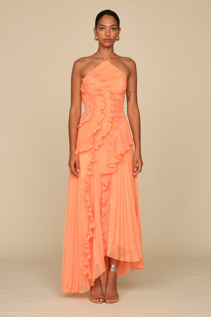Soft Apricot