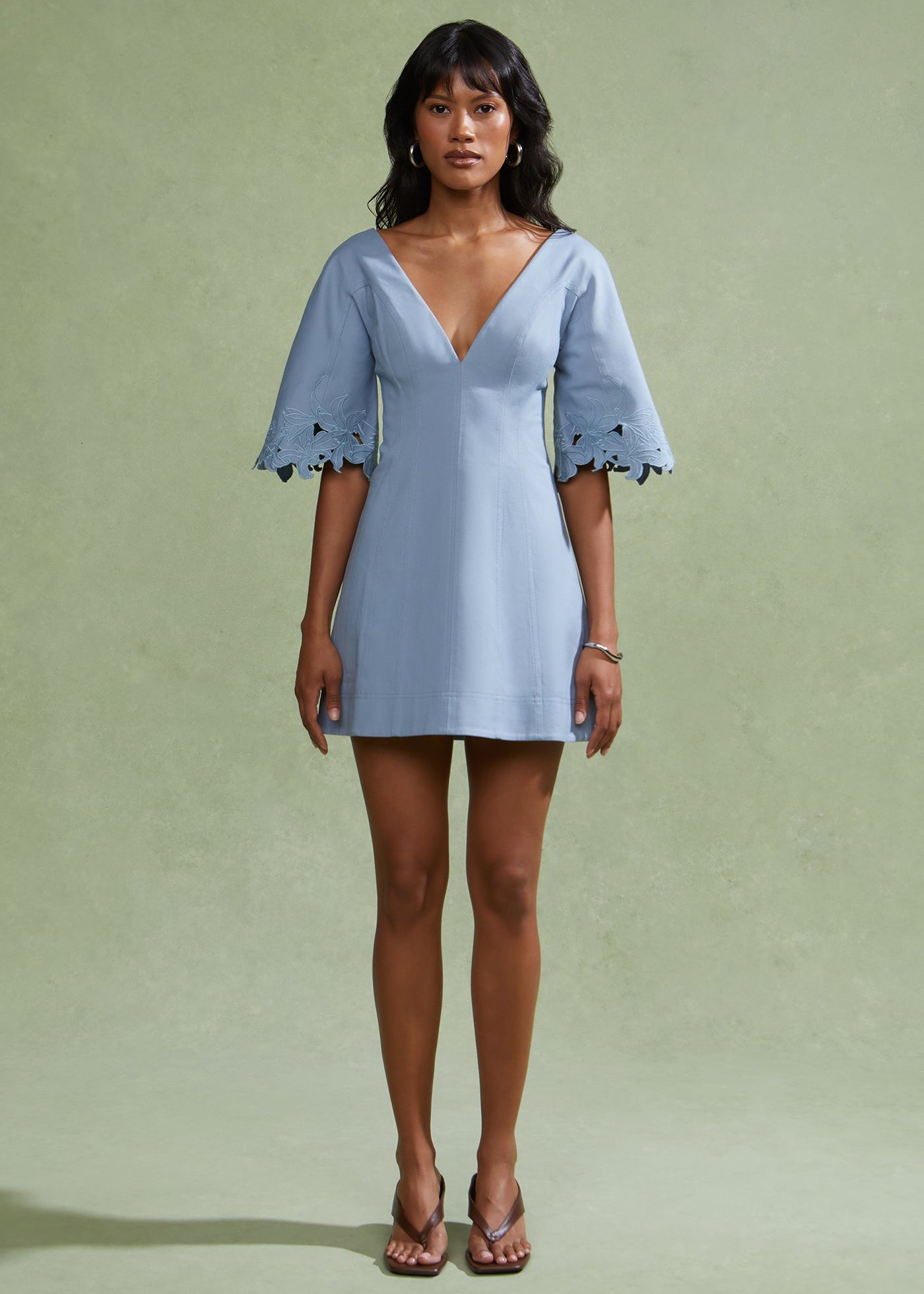 Maelis Embroidered Mini Dress