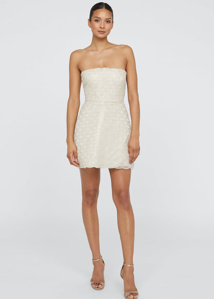 AMANDA BEADED MINI DRESS