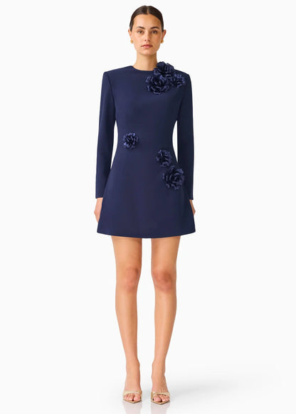 Leonara Long Sleeved Mini Dress