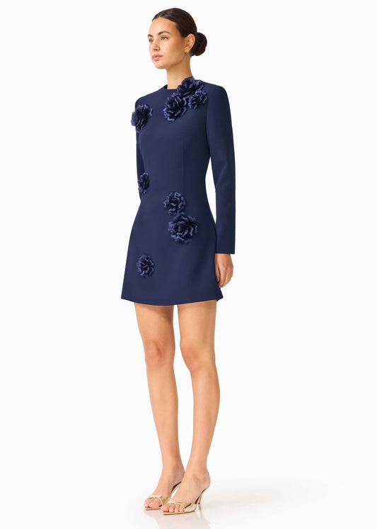 Leonara Long Sleeved Mini Dress