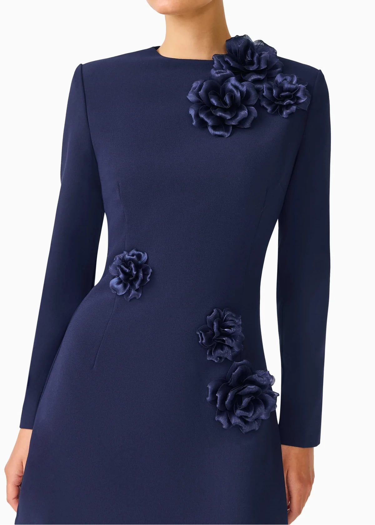 Leonara Long Sleeved Mini Dress