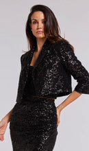 Load image into Gallery viewer, Isabella Sequin Jacket