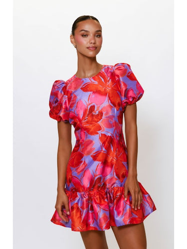 Rayan Mini Dress