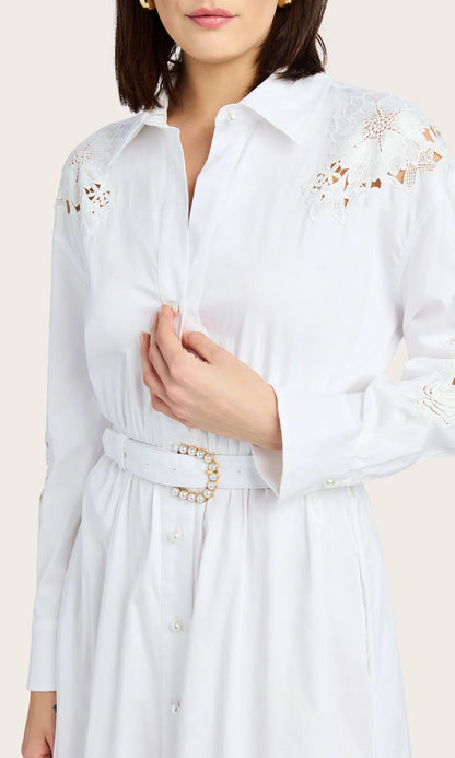Julia Lace Combo Dress