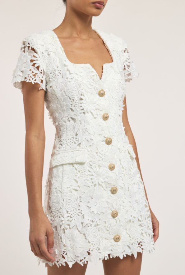 Brunella 3D Lace Dress
