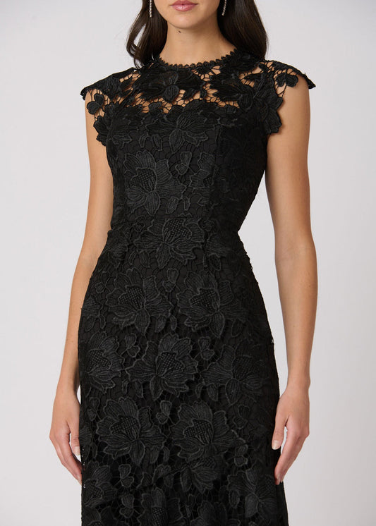 Midnight Raven Dress