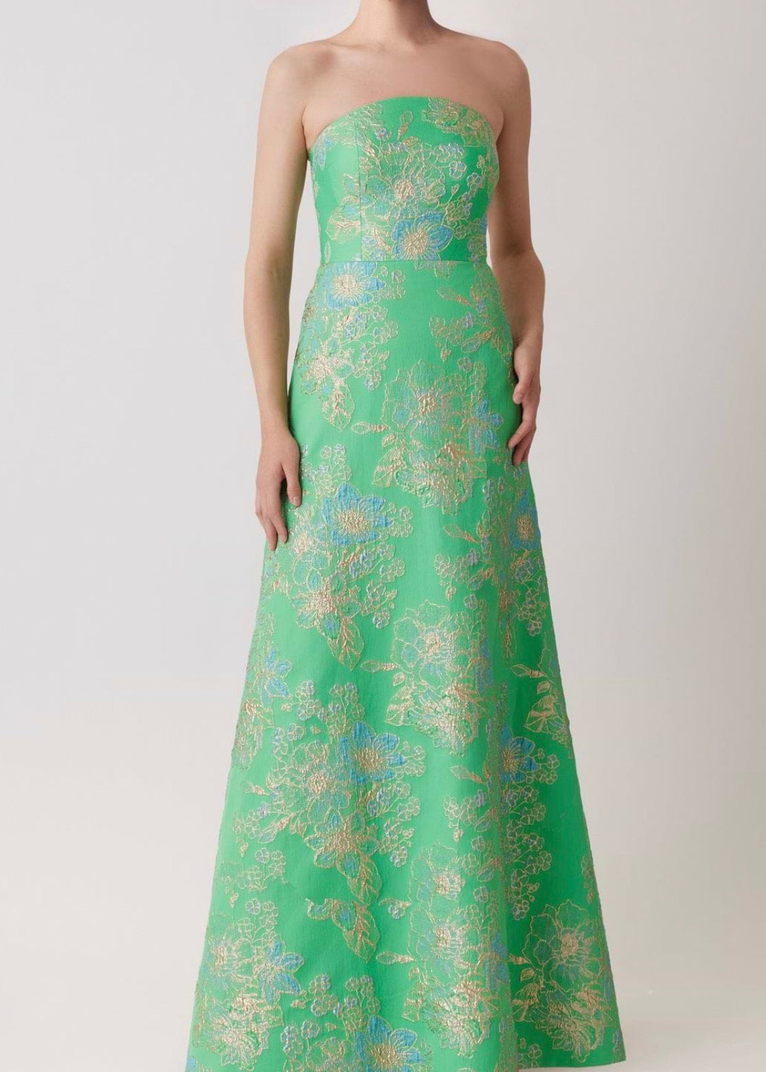 Sleeveless Metallic Multi Jacquard Gown