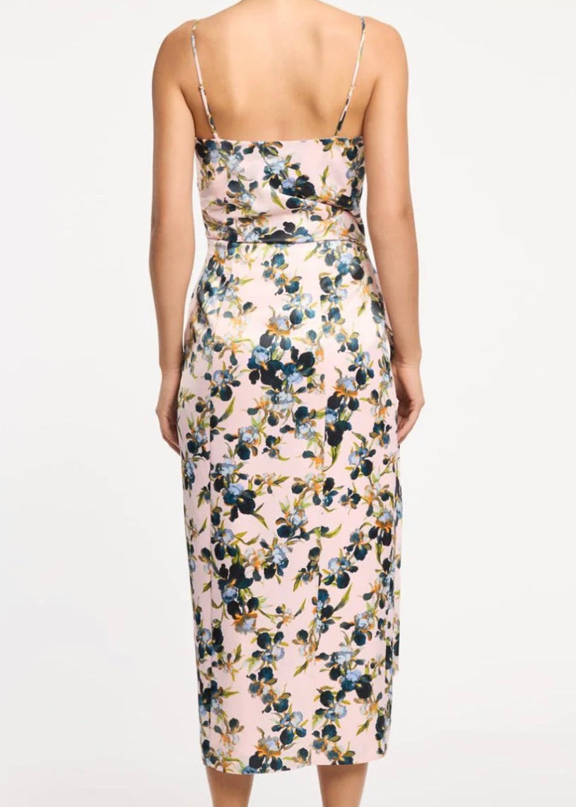Trailing Iris Tilsa Dress