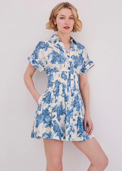Nash Mini Dress
