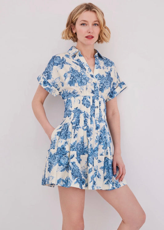 Nash Mini Dress