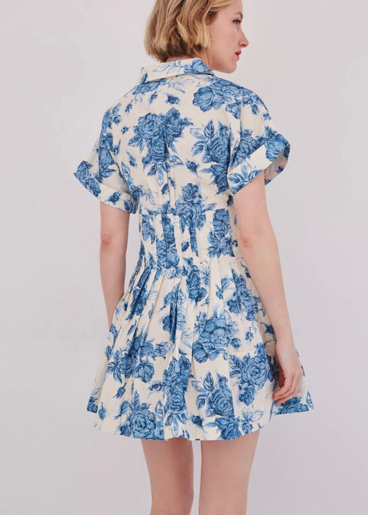 Nash Mini Dress