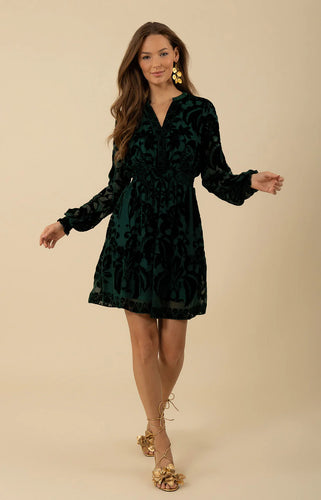 Alexa Velvet Burnout Dress