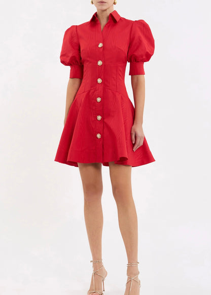 Jolene Mini Dress