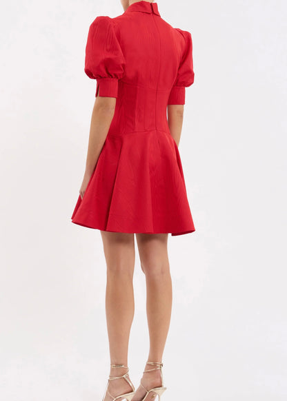 Jolene Mini Dress