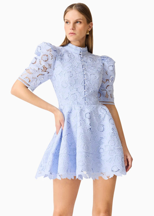 Lacy Puff Sleeve Mini Dress