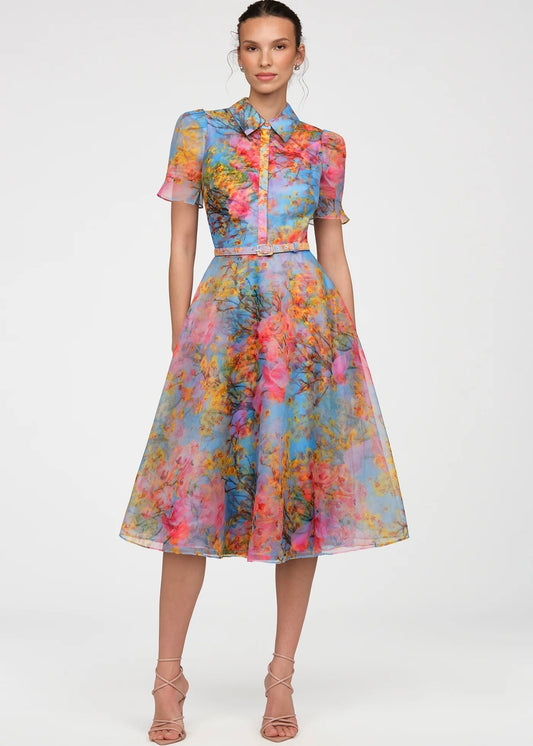 Marcel Organza Shirt Dress