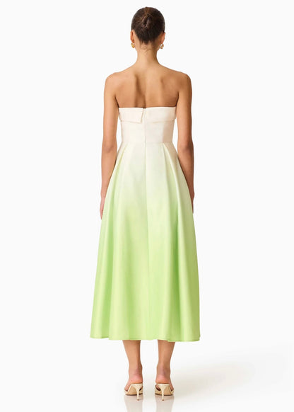 Elisia Strapless Gown