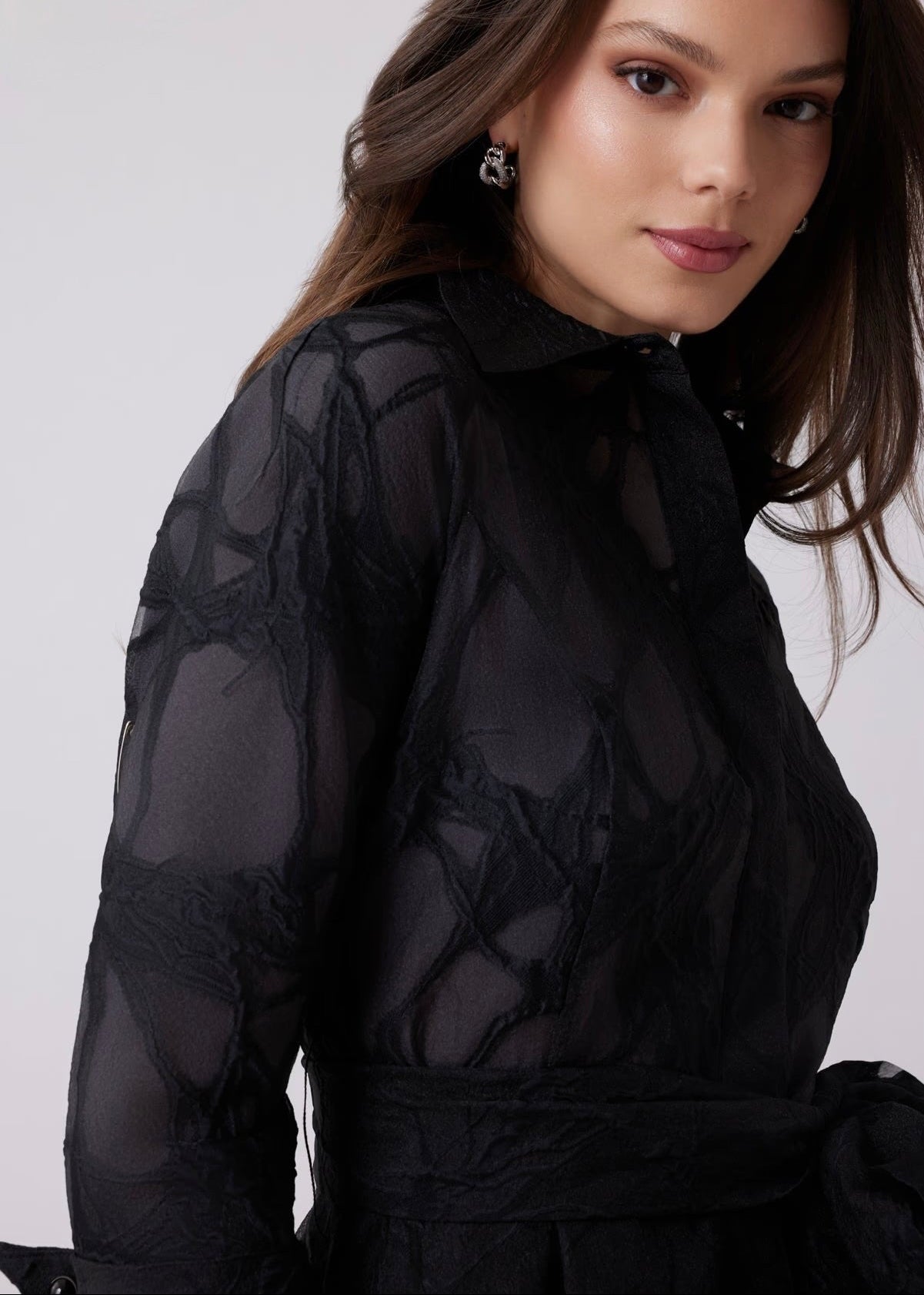 Organza Web Pattern Shirt Dress