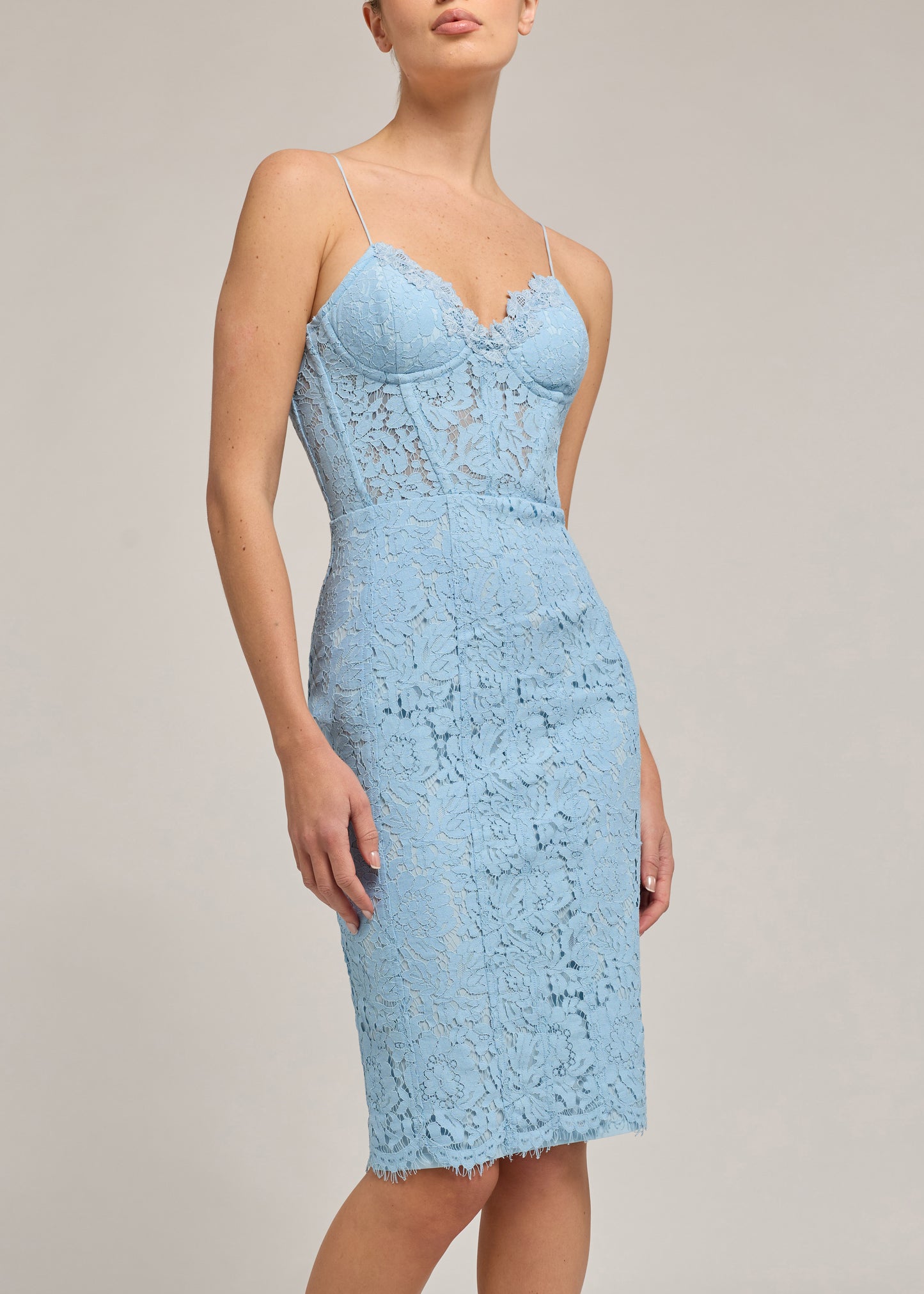 LEONIE LACE BUSTIER DRESS