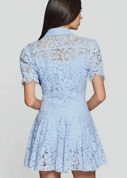 Swanetta Lace Dress