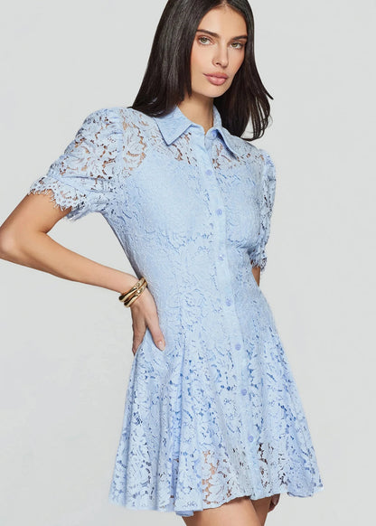 Swanetta Lace Dress