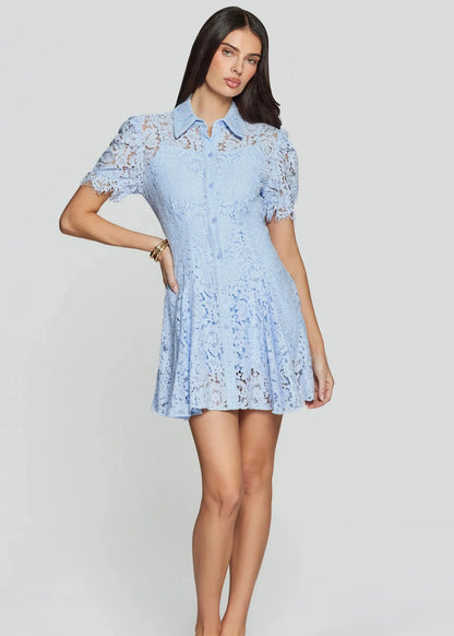 Swanetta Lace Dress