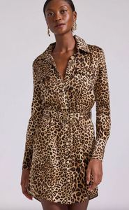 Darcelle Leopard Shirt Dress