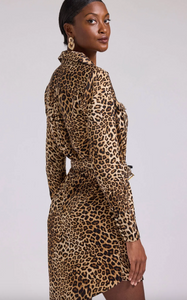 Darcelle Leopard Shirt Dress