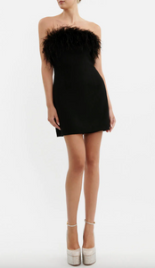 After Hours Feather Mini Dress