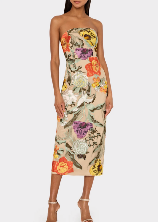 Shiloh Embroidered Dress