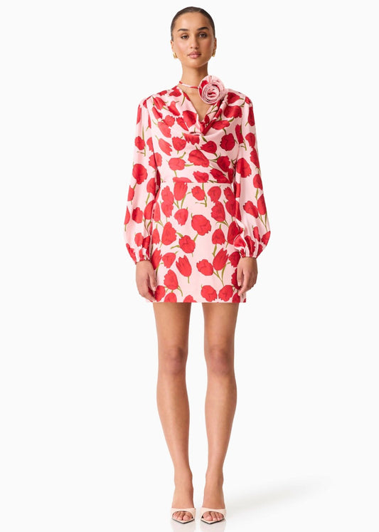 Melia Long Sleeve Mini Dress