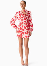 Load image into Gallery viewer, Melia Long Sleeve Mini Dress