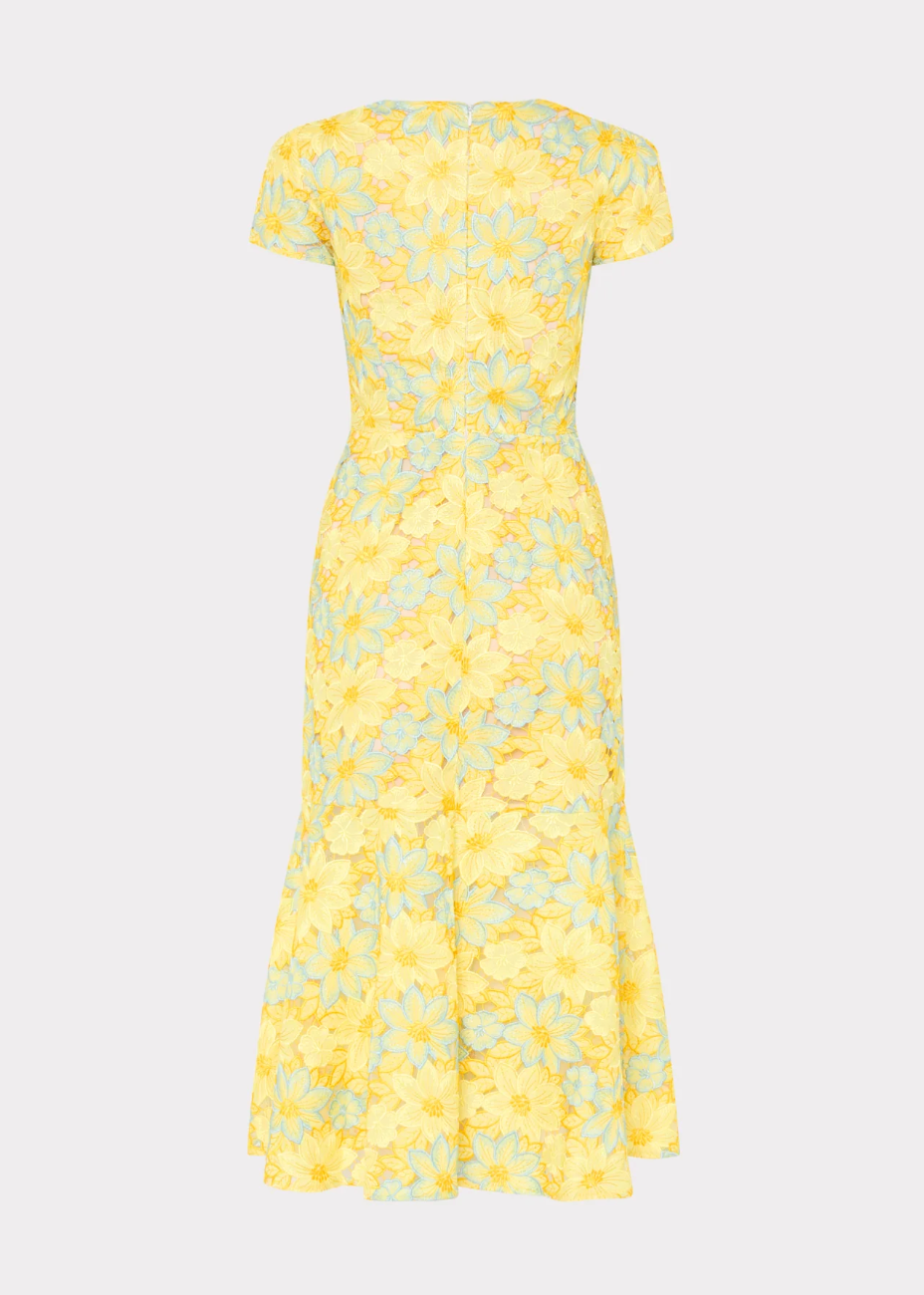 Tahlia Lace Dress