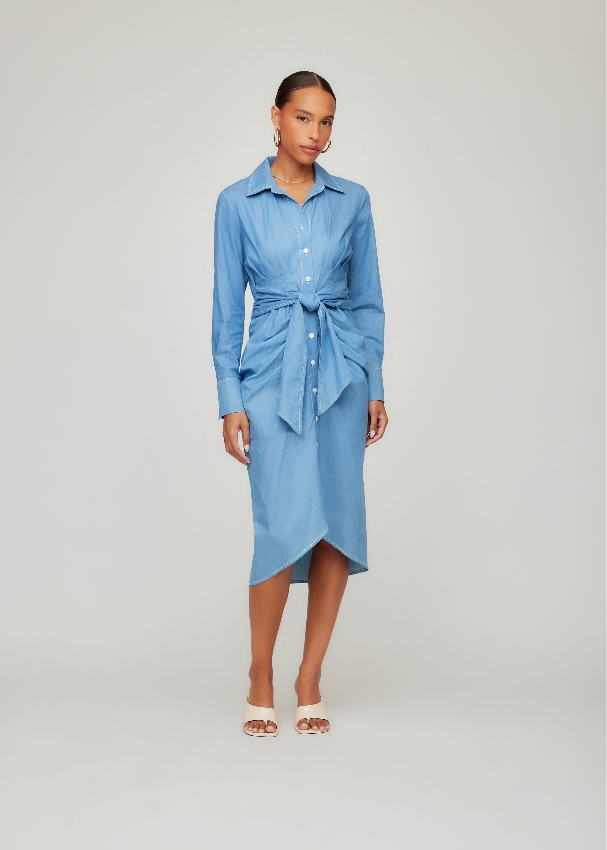 Rayleen Pleated Shirtdress