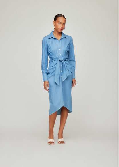 Rayleen Pleated Shirtdress