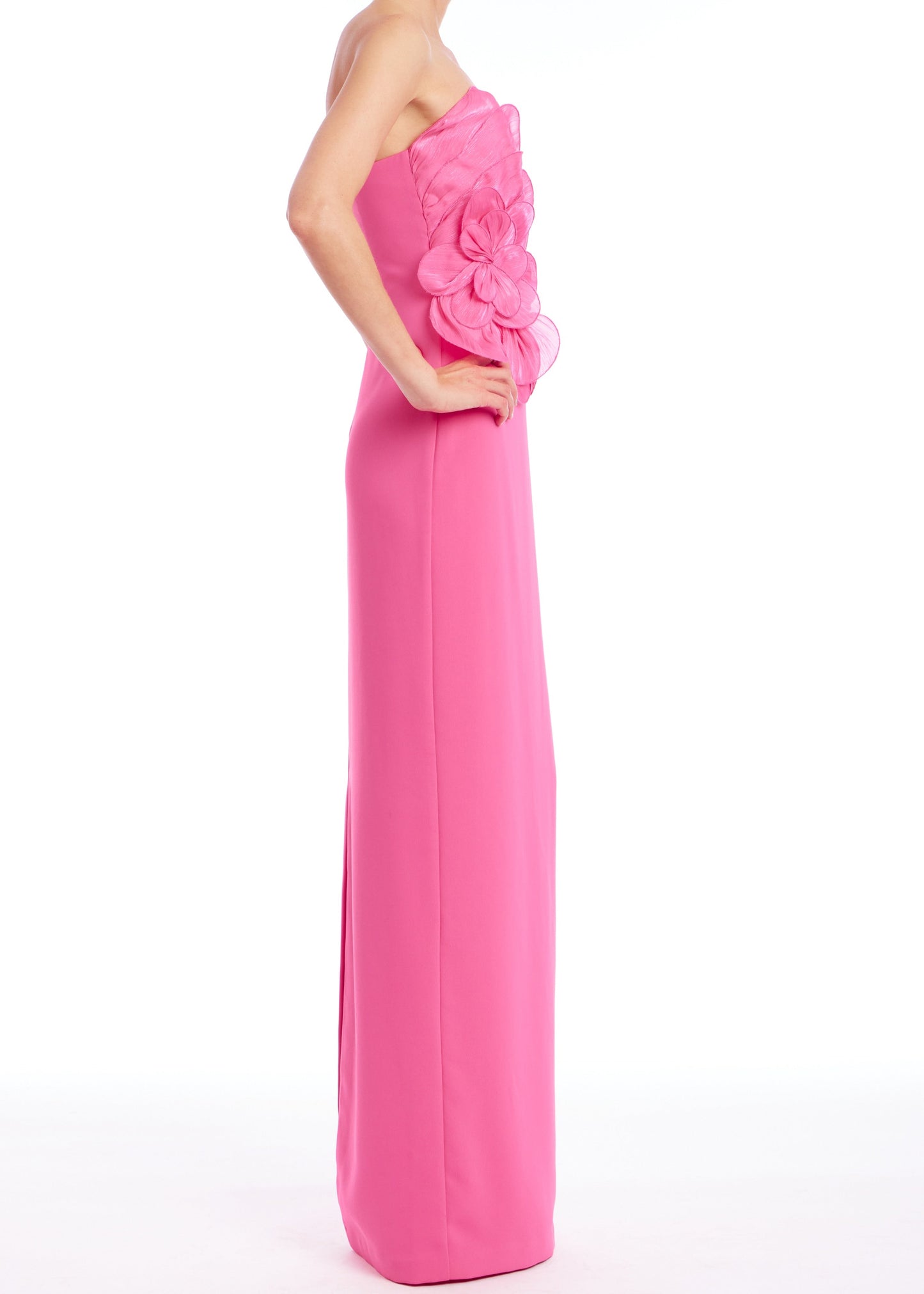Strapless Floral Appliqué Gown