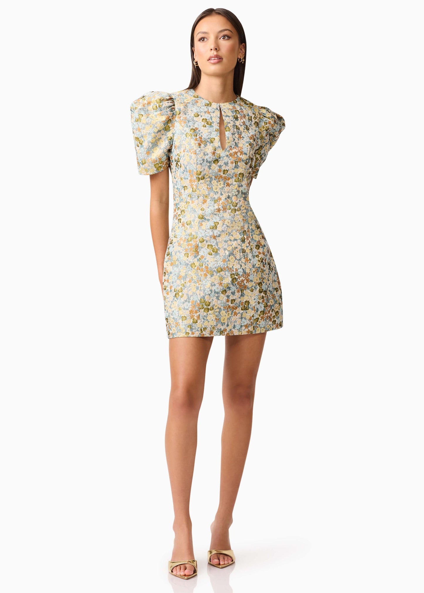 Tasmin Puff Sleeve Mini Dress