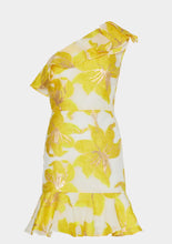 Load image into Gallery viewer, Nila Metallic Ruffle Dress
