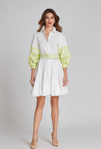 Embroidered Flare Shirt Dress