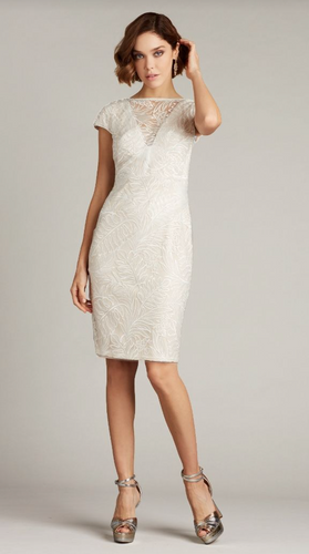 Cap Sleeve Lace Tulle Dress