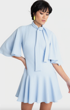 Load image into Gallery viewer, Coralia Mini Dress